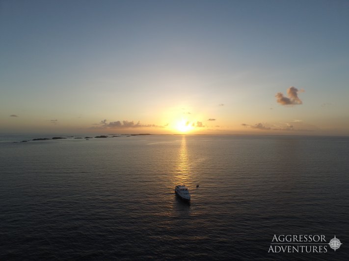 Bahamas Aggressor 